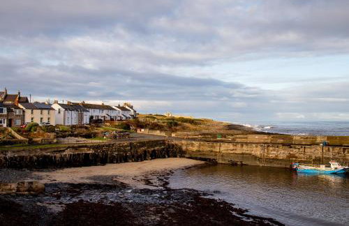 Harry's Den - Foto 37