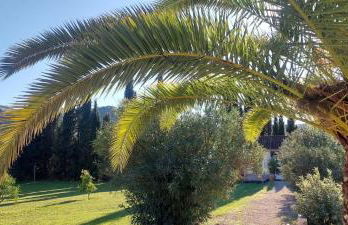 Casita Cacahuete - Foto 22