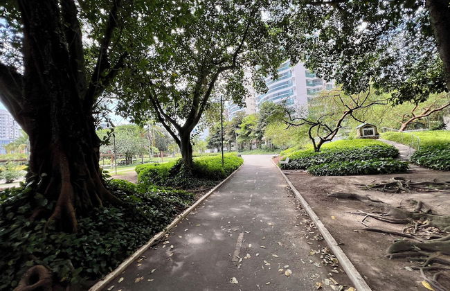 Verano Stay Flat Trab e Relax - Foto 42