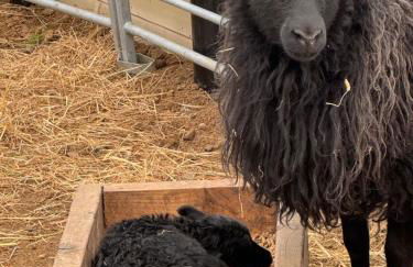 Bonnie Brae Croft Bothies - Foto 23