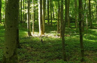 Studio Kaline - Foto 37