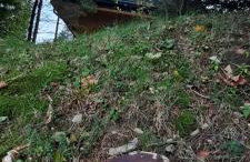 Domki Krynica - Foto 18