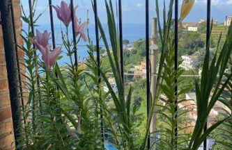 Le Mimose - Photo 46