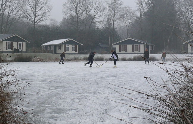Cozy Holiday Home with Garden near Zwolle - Foto 27