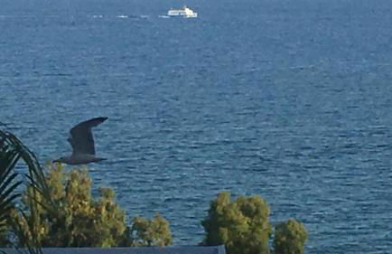 SEA VIEW, walking distance! Refurbished 2 bed, modern. 20 min. from Alicante Airport - Foto 22