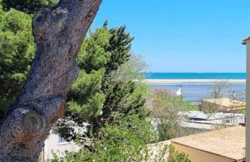 Résidence le Formentor - Foto 7