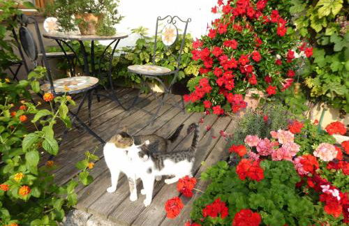 Ferienhof Selz - Foto 20