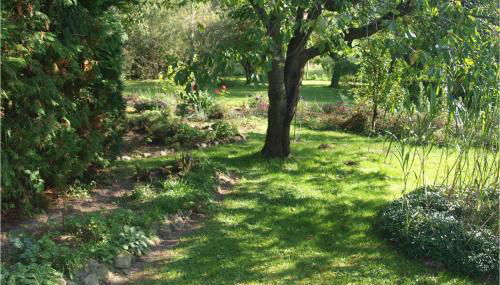 Lovely Home In Sagsdorf - Foto 4, Garden