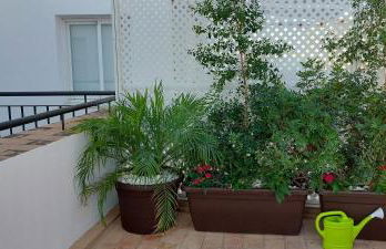 El 2 de Flamenco Ático 3ºA - Foto 19