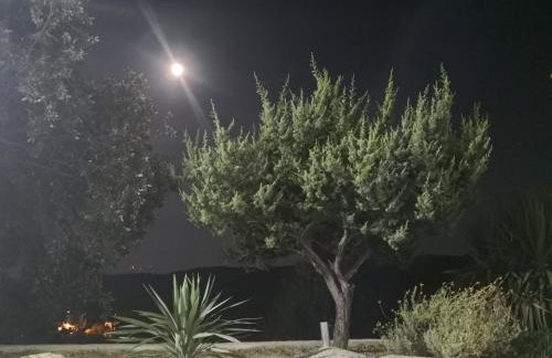 Vila Marija - Photo 32