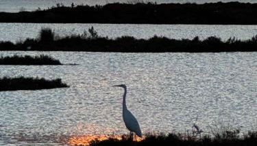 Exclusivo Chalet a Pie de Costa - Foto 2