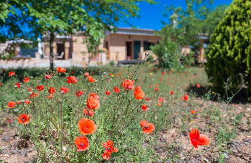 Ses Llegitimes - Foto 29