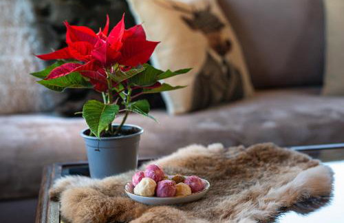 Arachova Mountain Villa - Foto 6