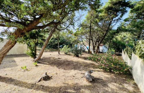 Bilocale a due passi dalla piazza di Rena Majore - Foto 8