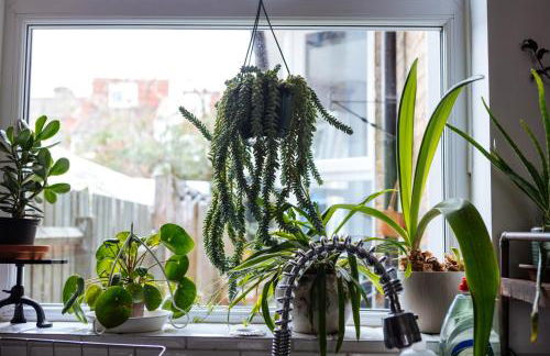 Unique private apartment w/ Easy access to Central London - Foto 20