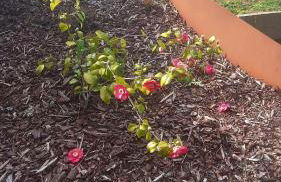 Ty Gouanac'h Maison de charme proche mer entièrement rénovée - Foto 44