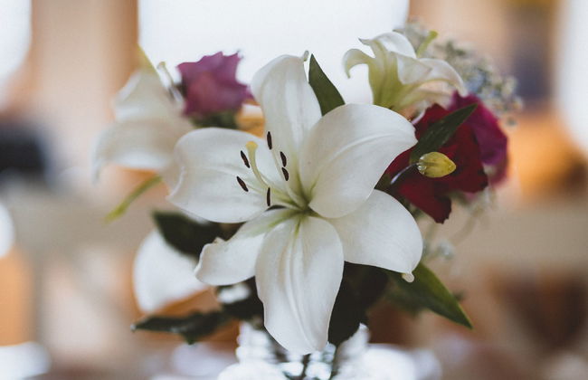 Holiday Home Peter's Shed by Interhome - Foto 119