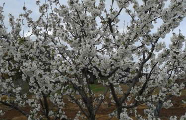 Casa Rural la Vallejera - Foto 84