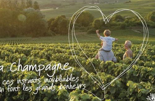 GITE ENTRE TERRES ET VIGNES à la ferme avec SPA privatif en CHAMPAGNE à une heure de Paris - Foto 31