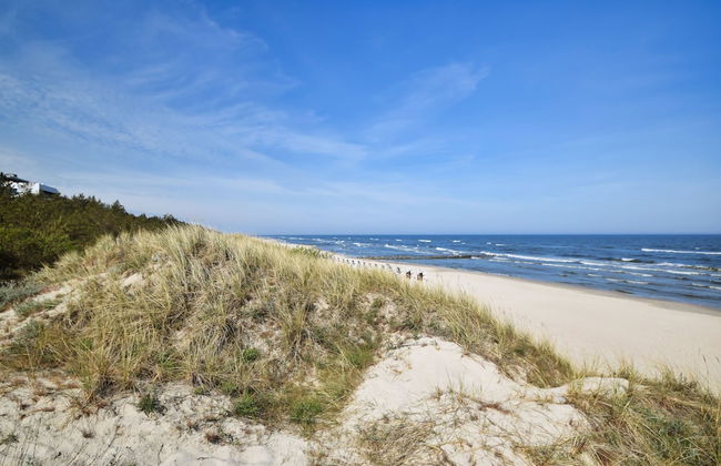 RentPlanet - Shellter - Foto 61