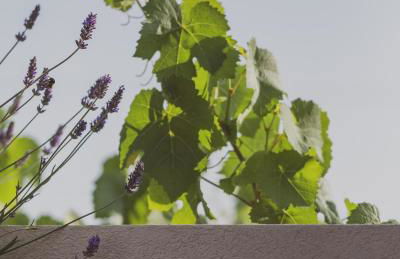 Al Borgo 02 Luxury Suites in Sardinia - Foto 61