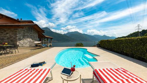 Piccola Orchidea - Foto 2