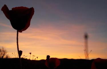 Cortijo Claudia - Foto 62