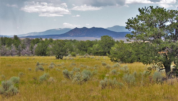 Ruidoso Rabb by Ruidoso Vacation Rentals - Foto 5, Servicios del alojamiento