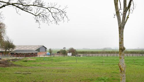Ferienwohnung Norderwurth - Photo 3