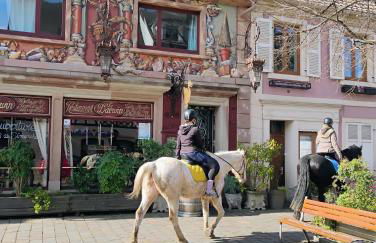 Gîte Le Marronnier, parking et terrasse au calme, entre Colmar-Riquewihr et Obernai, vue sur espaces verts et coteaux d Alsace, route du vin-châteaux - Foto 49
