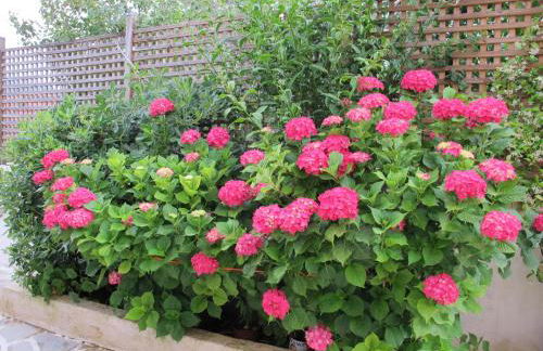 Muses Studios Sami - Foto 48