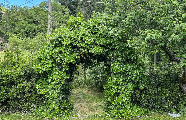 Renee House - Foto 43