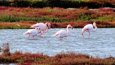 Exclusivo Chalet a Pie de Costa - Foto 3