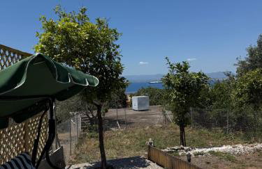 Panorama Studio - Foto 10