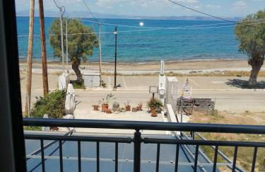 Green Boat House - Foto 11