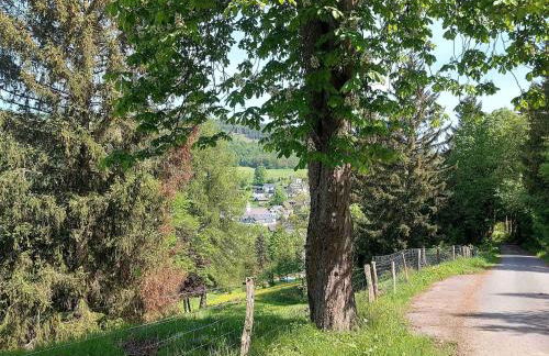 Terrace Retreat in Winterberg - Foto 76