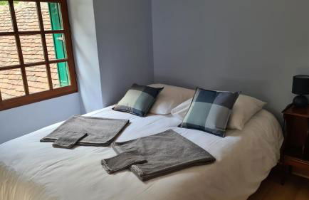 Domaine des Aulnaies - Beauval - Mareuil sur Cher - Foto 47