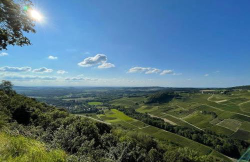 Location La Ferté, calme et proximité centre ville classé 3 Étoiles - Foto 31