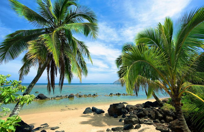 Paniolo 210a - Foto 37