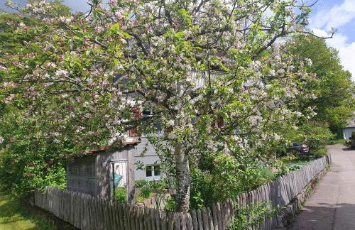 Ferienwohnung Zimmerei Schwarzwald mit toller Aussicht - Foto 23
