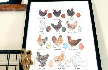 fattoria Coppetella Cemani - Photo 12