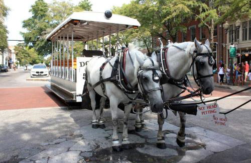 Water Street Retreat 14 - Foto 20