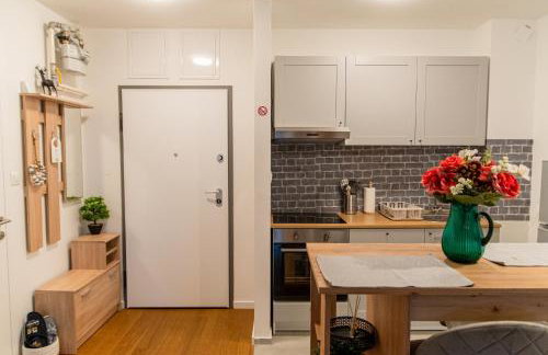 Flexible SelfCheckIns 39 - Zagreb - Parking - New - Foto 10