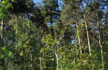 Lodge with log burner Contractors business private parking free Wi-Fi near M4 - Foto 58