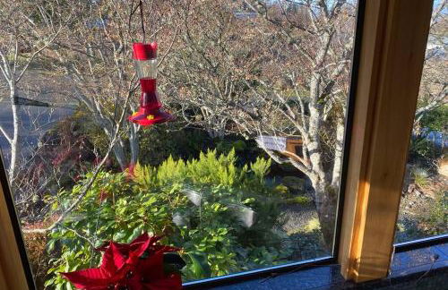 Crash Pad Bed and Breakfast - Foto 56