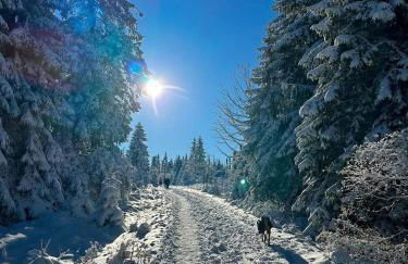 Ferienhaus Isabel mit Pool und Garten Nähe Quedlinburg - Foto 6