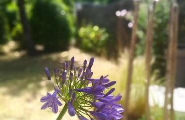 Le Patio 4*. SPA, jardin, piscine en provence, proche Grignan - Foto 33