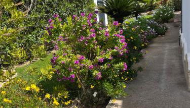 Villa Clara, 8 pers, JAVEA, Costa Blanca, closes to beaches - Foto 3