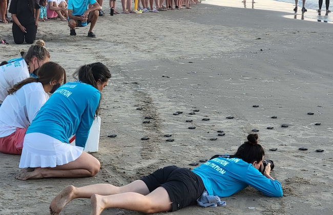 Campeche Triplex Unit B - Foto 37