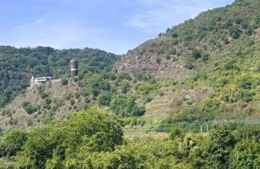 Ferienhaus Leopold mit Burgblick an der Mosel - Foto 53